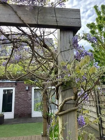Apartment B&B Schiphol Amsterdam Rijsenhout